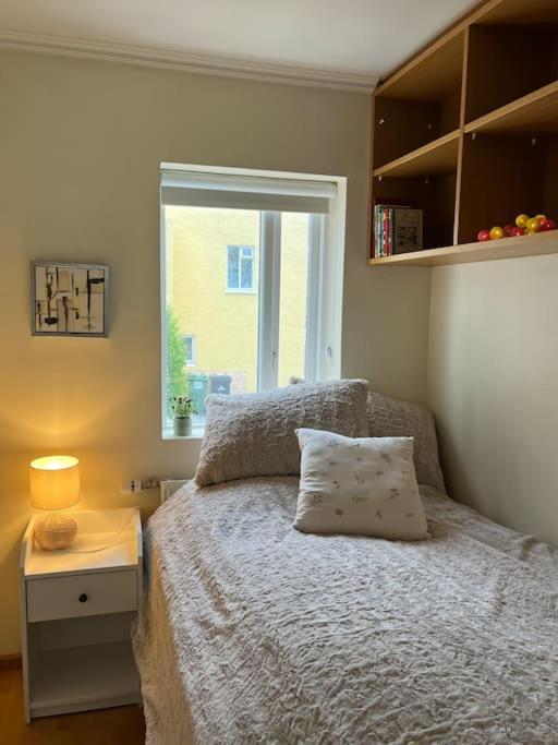 Charming 3 Bedroom Apartment Akureyri Eksteriør billede