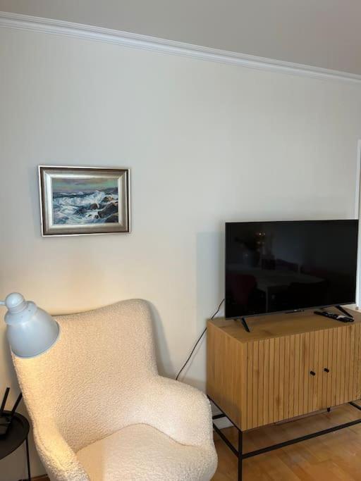 Charming 3 Bedroom Apartment Akureyri Eksteriør billede